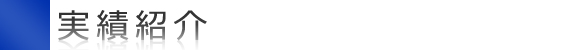 実績紹介